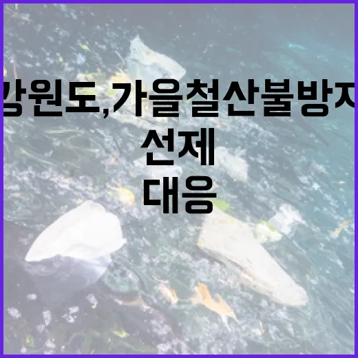 강원도, 가을철 산불방지 선제 대응 강화