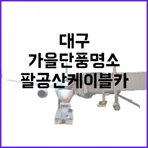 대구 팔공산케이블카 가을 단풍 명소