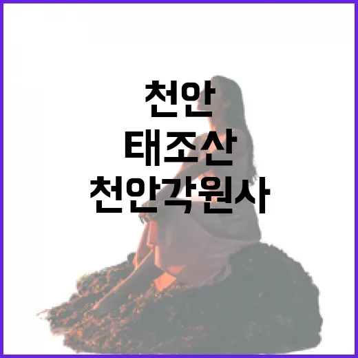 천안 각원사 청동대불과 태조산 가을 풍경