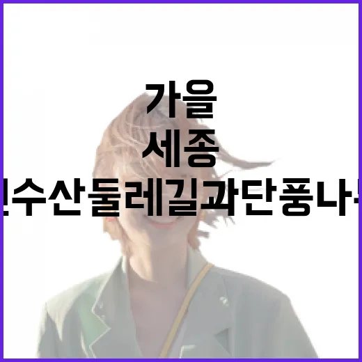 세종 원수산 둘레길과 단풍나무숲 가을 산책