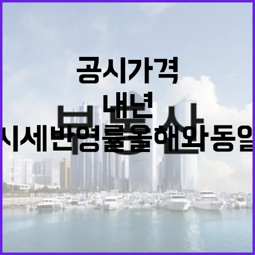 내년 공시가격 시세반영률 올해와 동일 유지