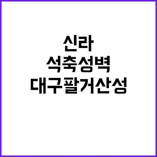 대구 팔거산성서 신…