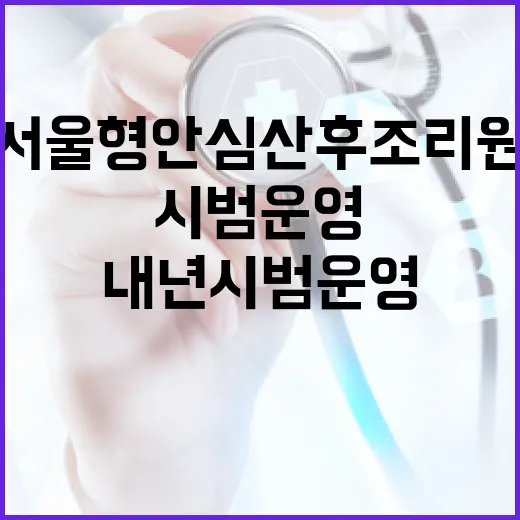 서울형 안심 산후조리원 내년 시범 운영