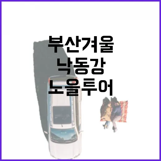 부산 겨울 가족 나들이 명소 낙동강 노을투어