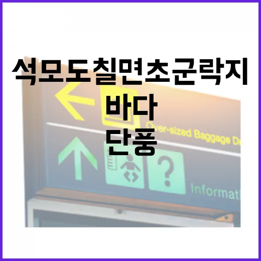 가을바다 단풍 명소 석모도 칠면초군락지