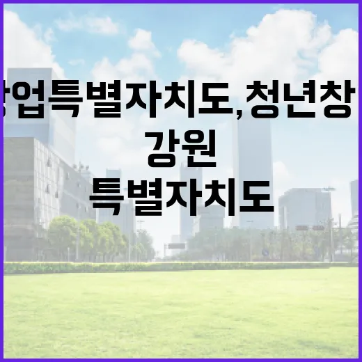 강원 창업특별자치도, 청년 창업 지원 본격화