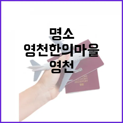 영천 한의마을, 몸과 마음 치유의 명소