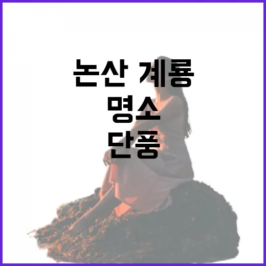 논산·계룡 단풍 명소 총정리
