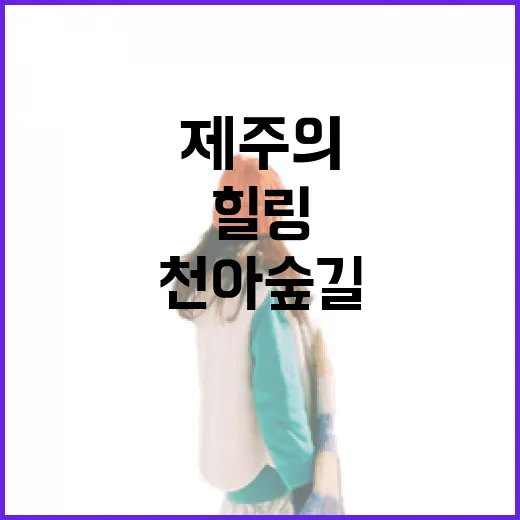 제주의 가을, 천아숲길 힐링 산책
