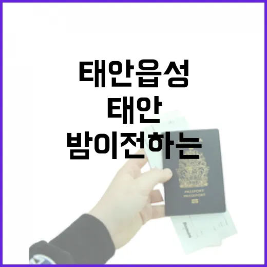 태안읍성, 밤이 전하는 역사와 삶