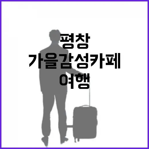 평창 가을 감성 카…