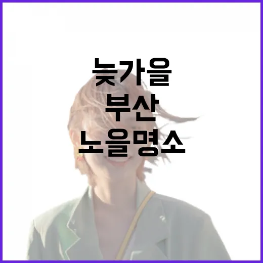 부산 늦가을 노을 명소 완벽 가이드