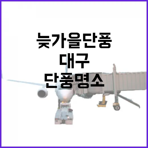 대구 늦가을 단풍 명소 3선