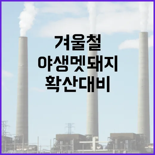 겨울철 확산 대비 야생멧돼지 방역 강화