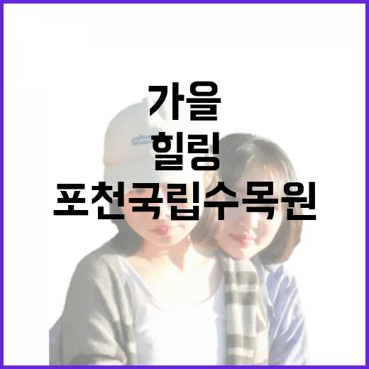 포천 국립수목원 가을 오감 힐링 산책