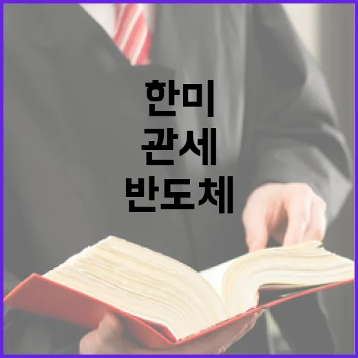 한미 경제협력 강화, 반도체 관세 대만과 형평