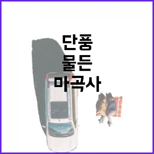 단풍 물든 마곡사, 가을의 고요한 아침