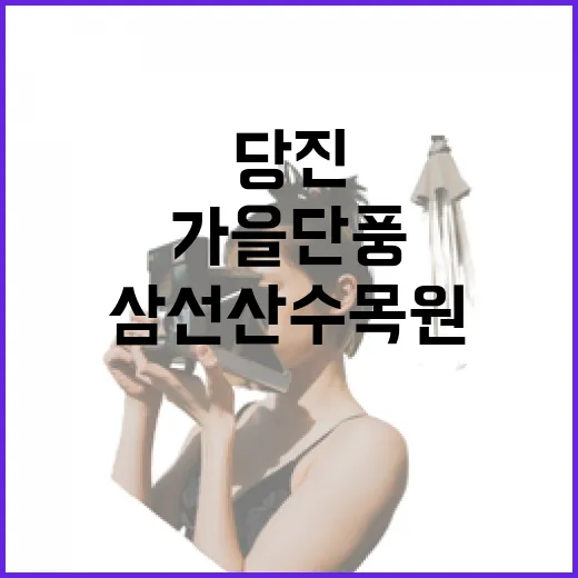 당진 삼선산 수목원 가을 단풍 산책