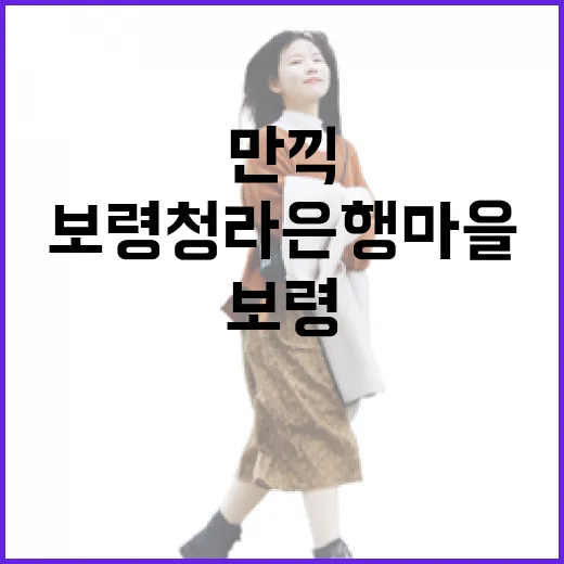 보령 청라 은행마을 가을빛 만끽