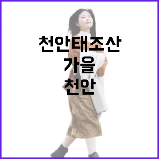 천안 태조산 가을 산책 명소