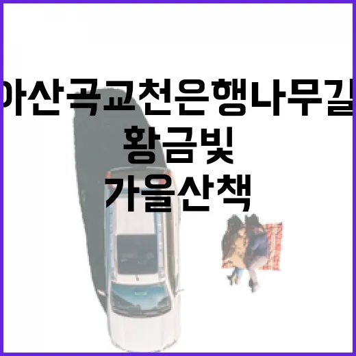 아산 곡교천 은행나무길, 11월 황금빛 가을 산책