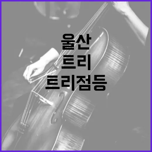 울산 첫 크리스마스트리 점등 축제 현장