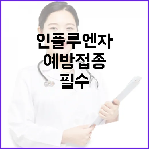 서울 인플루엔자 확산 경계, 예방접종과 마스크 필수