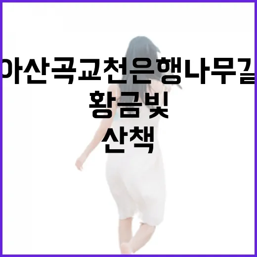 아산 곡교천 은행나무길 황금빛 힐링 산책