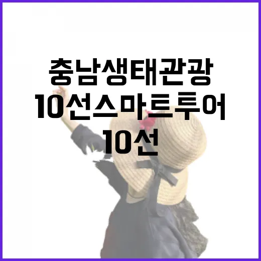충남 생태관광 10선 스마트투어 완주기