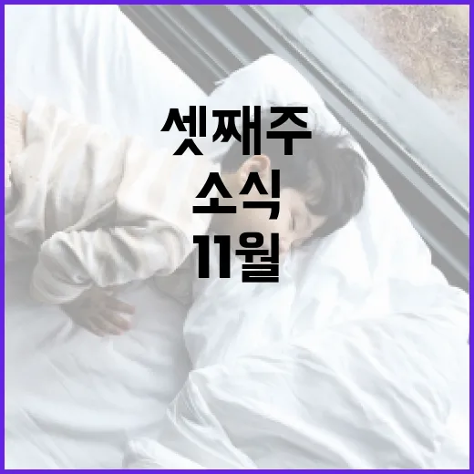 광주 11월 셋째주 알짜 소식 총정리