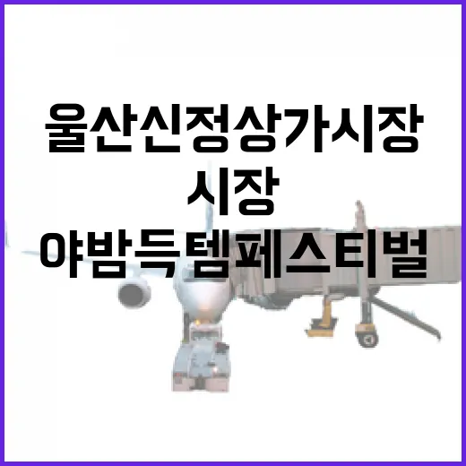 울산 신정상가시장 야밤득템 페스티벌 현장