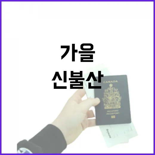 울산 신불산 가을 풍경의 진수