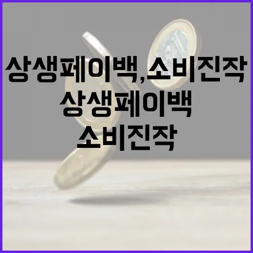 상생페이백, 소비 진작 11배 효과 입증