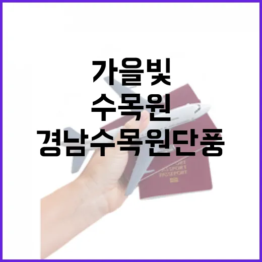 경남수목원 단풍길, 가을빛 물들다