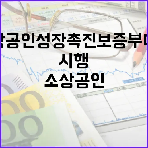소상공인 성장촉진 보증부 대출 본격 시행