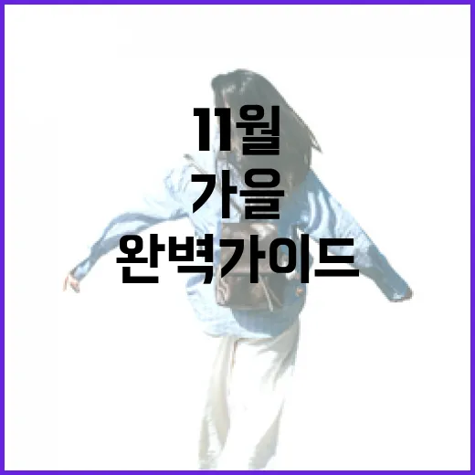 11월 인제 가을 명소 완벽 가이드