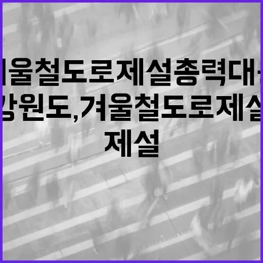 강원도, 겨울철 도로 제설 총력 대응