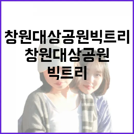 창원 대상공원 빅트리, 자연과 도시의 만남