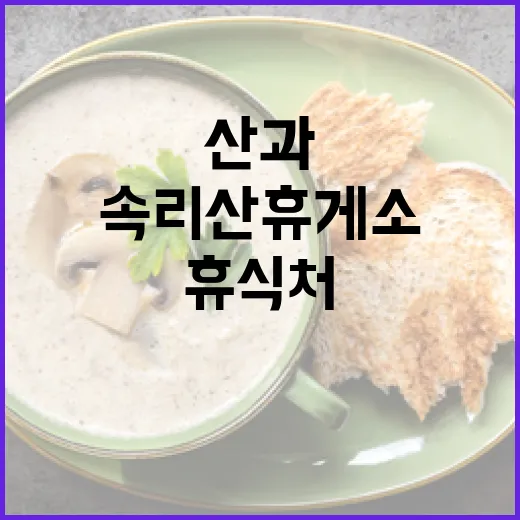 속리산휴게소, 산과 맛이 어우러진 휴식처