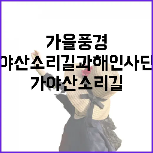 가야산 소리길과 해인사 단풍의 가을 풍경