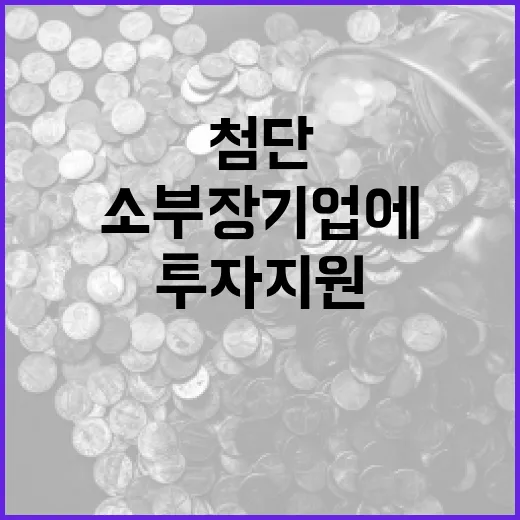첨단산업 소부장 기업에 1211억 투자지원