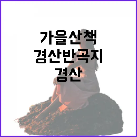 경산 반곡지, 가을 산책 명소