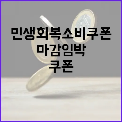 민생회복 소비쿠폰 11월 30일 사용 마감 임박