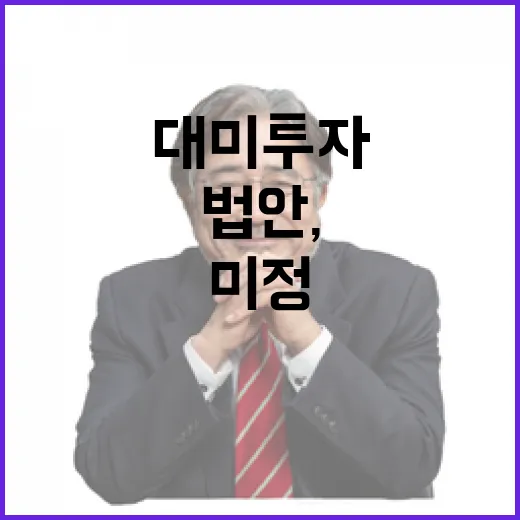 대미투자 특별법안, 구체안 아직 미정