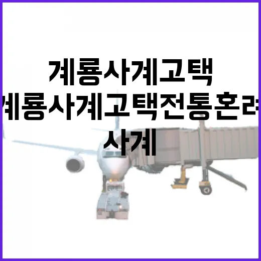 계룡 사계고택 전통혼례 가을 나들이