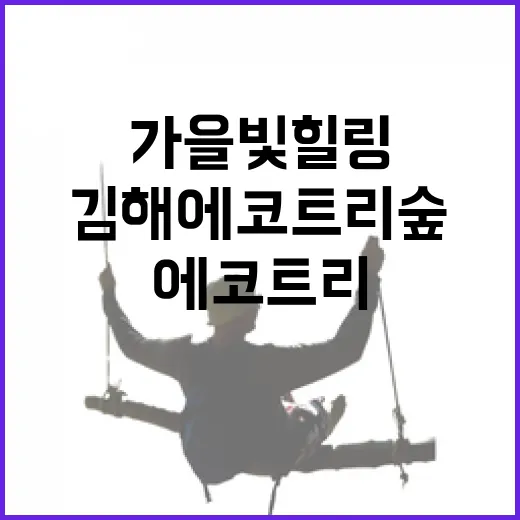 김해 에코트리 숲, 가을빛 힐링 명소