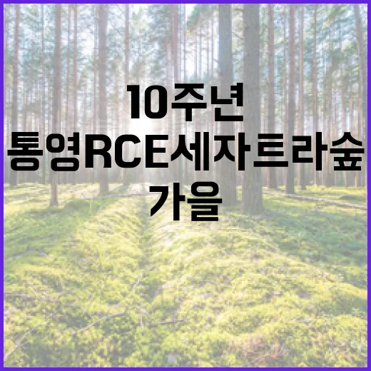 통영 RCE세자트라숲 10주년, 가을 속 공존의 가치