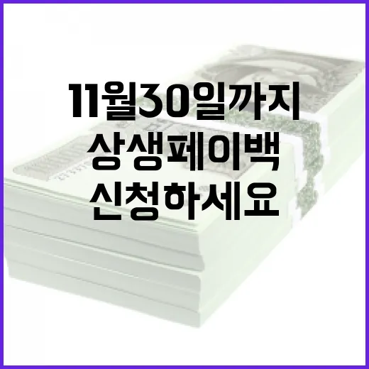 상생페이백 11월 30일까지 신청하세요