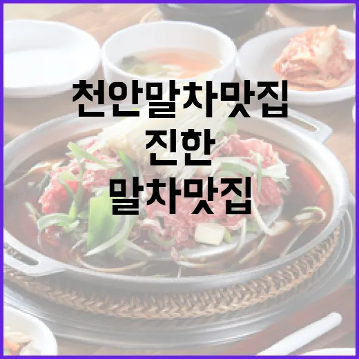 천안 말차 맛집 총…