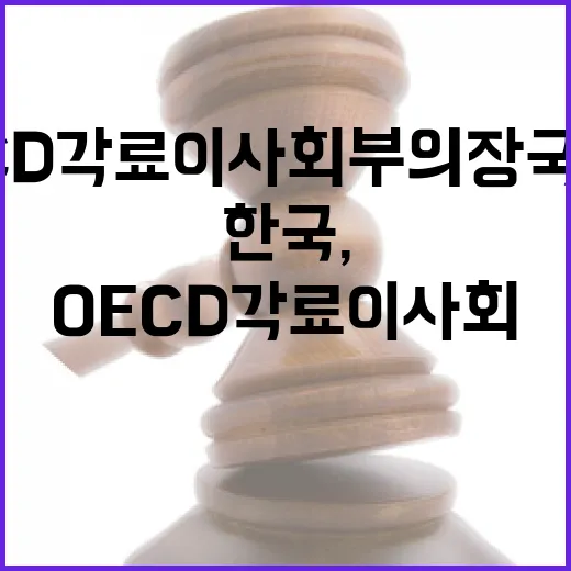 한국, OECD 각료이사회 부의장국 선출 쾌거